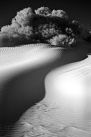 Dunes #1348