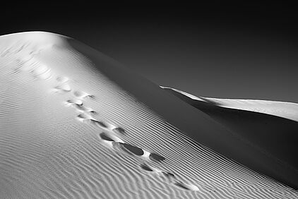 Dunes #1339
