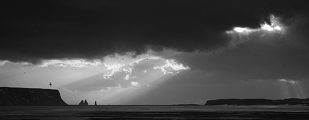 Pano-Reynisfjara